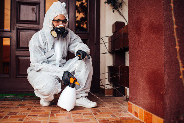 Reliable Cockroach Control contractor in Bronxville, NY by Nex Pest Control